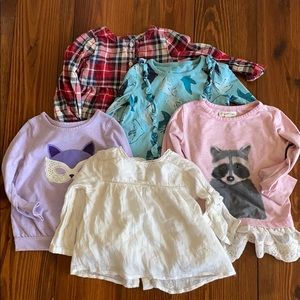 Toddler Long-sleeve Shirt Bundle! Nice brands